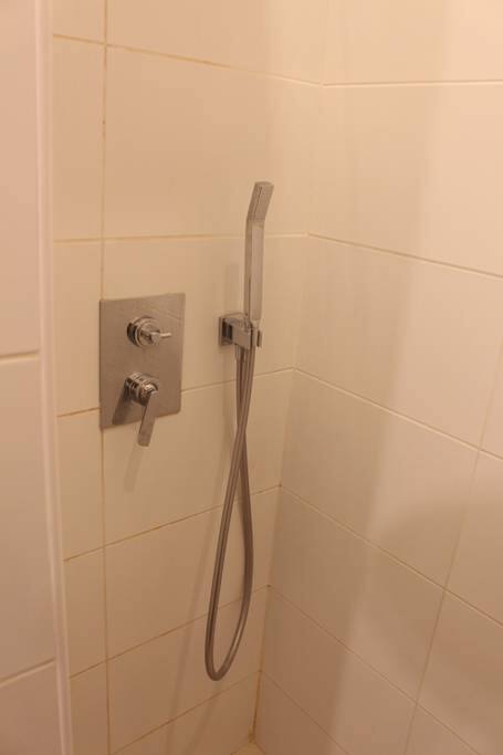 Private shower room and toilette.