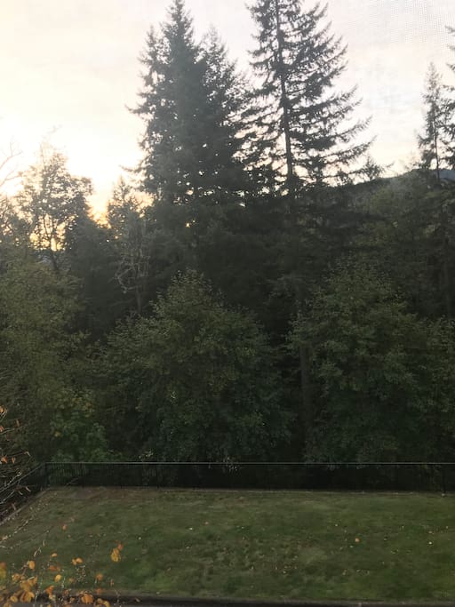 View from Master Bedroom