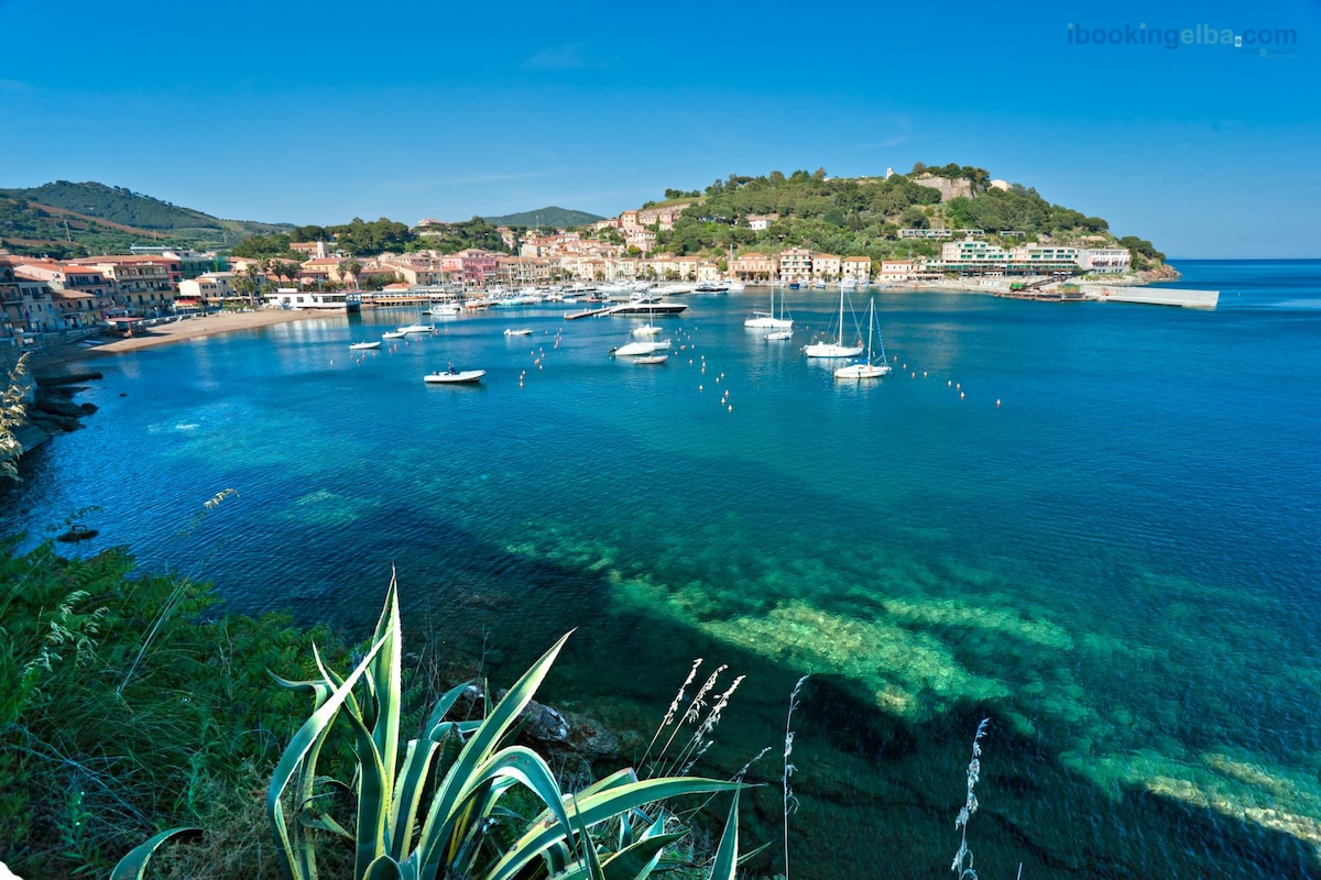 The tranquil waters of Porto Azzurro harbor reflect vibrant turquoise hues, with several boats anchored. In the background, the town's colorful buildings are nestled against a hillside, creating a serene coastal scene. Green foliage is visible in the foreground, framing the picturesque view.
