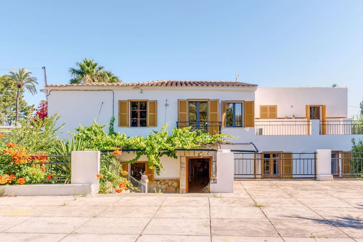 Es Molí de’n Palmer