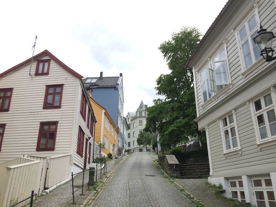 The beautiful street where the apartment is located