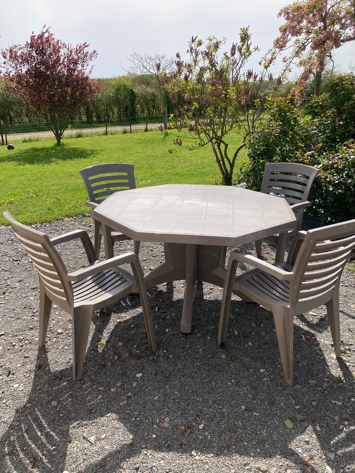 An octagonal table surrounded by four chairs is positioned on a gravel surface. Green grass and young trees provide a backdrop, enhancing the outdoor setting. The space is designed for relaxation and social gatherings in a natural environment.