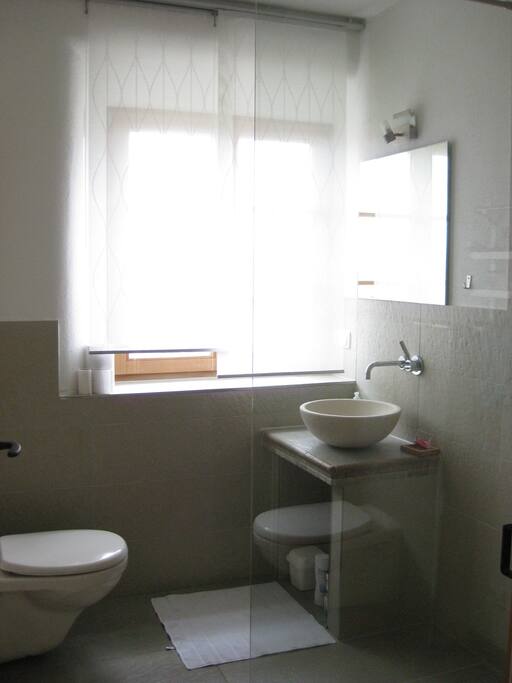 begehbare Dusche mit WC und Waschbecken