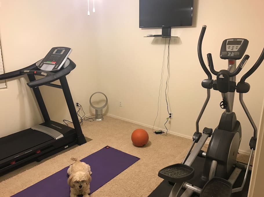 Work out room with treadmill, eliptical machine, yoga mat, and small weights.