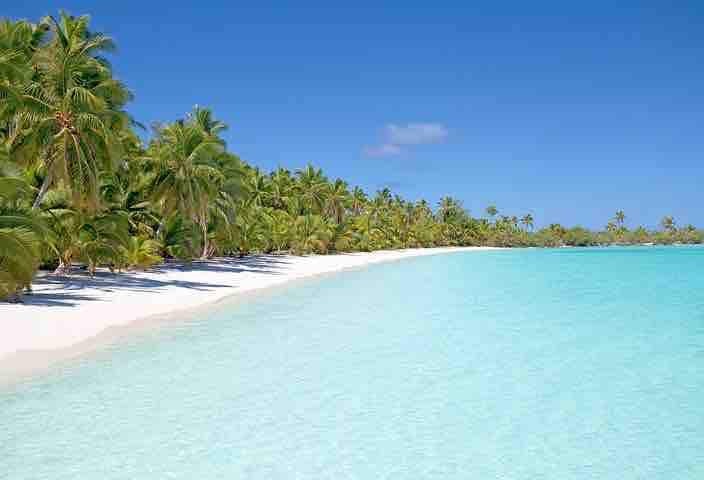 A serene beach scene features soft, white sand meeting clear, turquoise waters. Lush palm trees line the shoreline, creating a natural border. The sky is bright blue, free of clouds, enhancing the tranquil atmosphere of the setting.