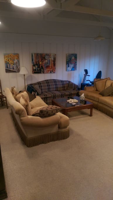 Pull out queen sized bed with 2 large couches