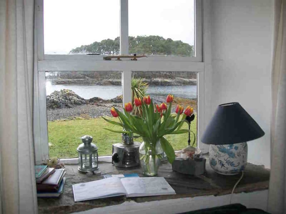 View from living room