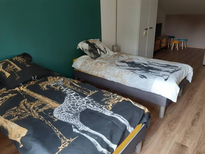 Chumba cha 2 cha kulala chenye vitanda 2 vya mtu mmoja.