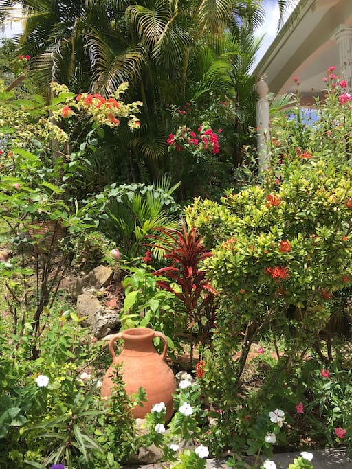 Jardin