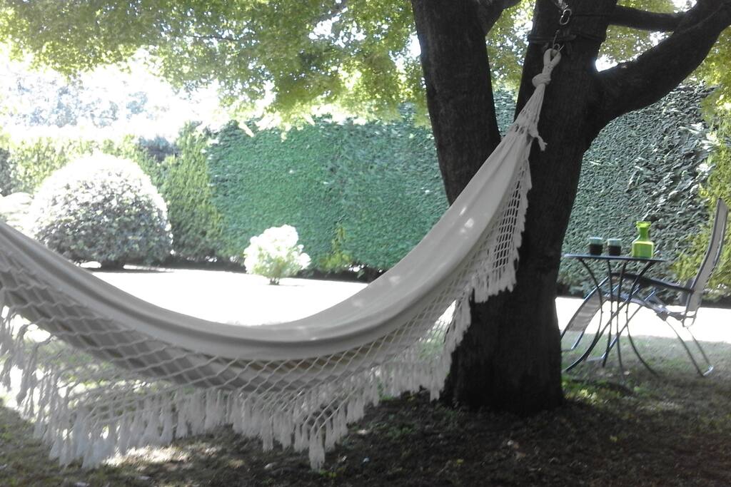 Amaca in giardino