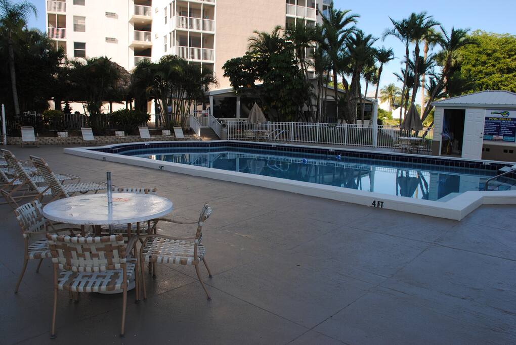 Brand new pool
