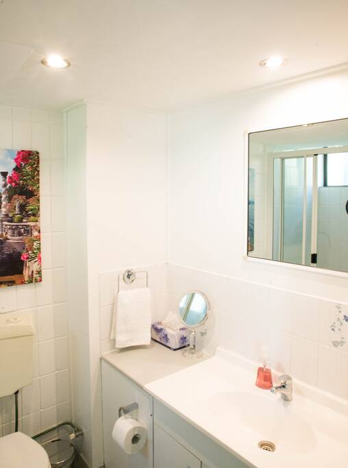 Ensuite bathroom off Room A, with shower. Fluffy towels, shampoo etc., and hair dryer provided.