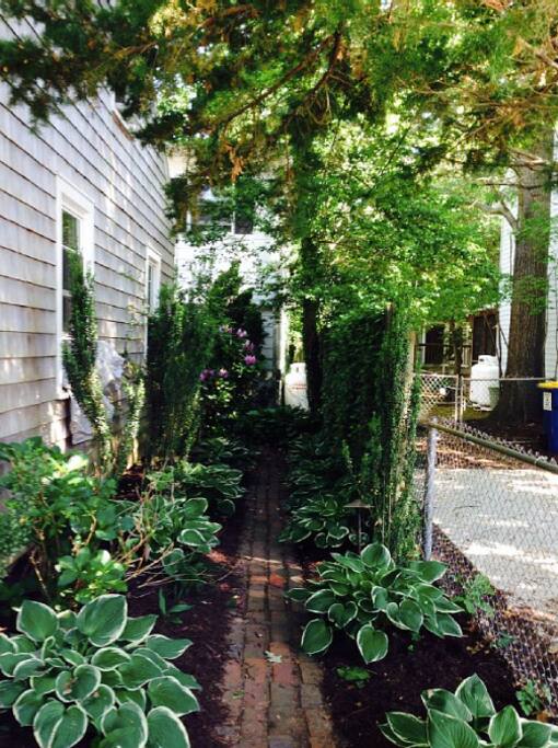 Pathway from the street to the cottage