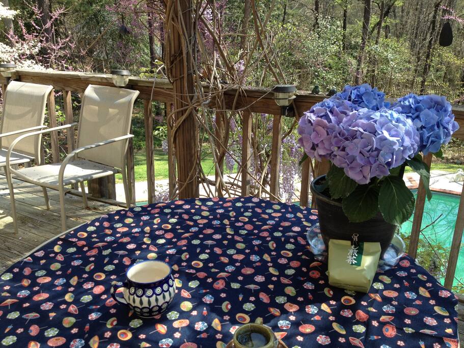 Place on the deck, under the pergola