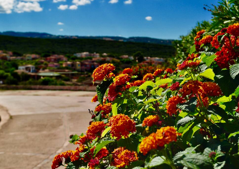 Colori e natura nel Residence