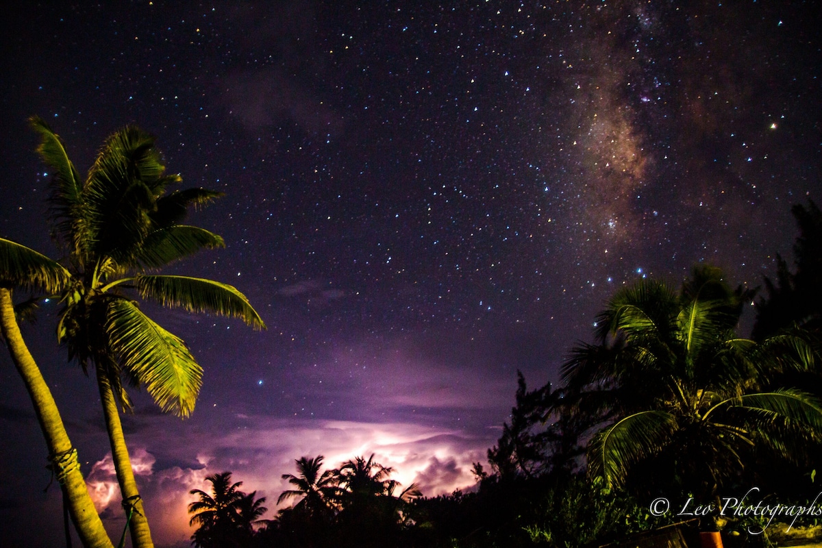 A night sky filled with stars is showcased, featuring a visible Milky Way and distant lightning. Silhouetted palm trees frame the scene, adding depth against the vibrant celestial display.