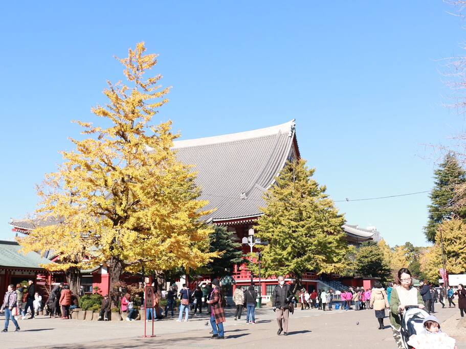 正当季 浅草寺的秋天 台东区旅游攻略 尽在airbnb爱彼迎