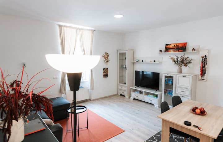Oldie Goldie 3*, Free Parking - Maribor