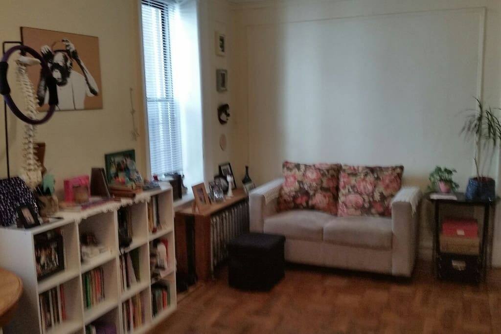 The shared living space.