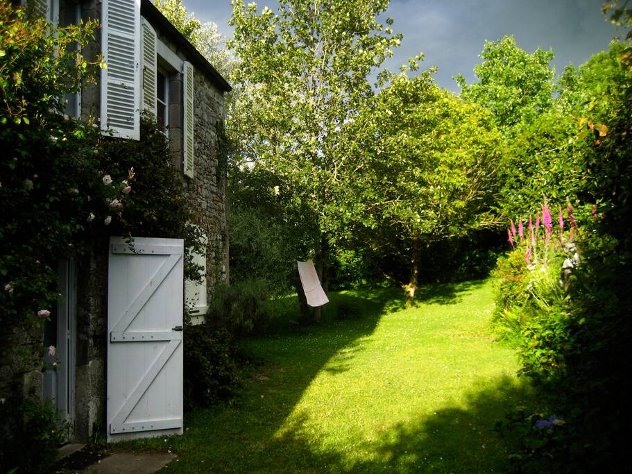 Up the garden at evening