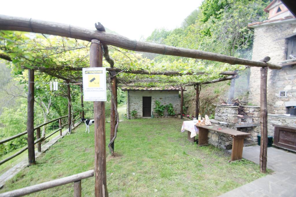 Vista dall'ingresso. Casetta di rimessaggio antistante l'ampio giardino posteriore