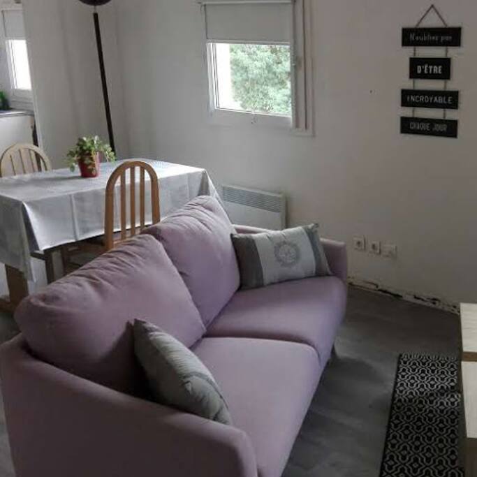 Salon - salle a manger