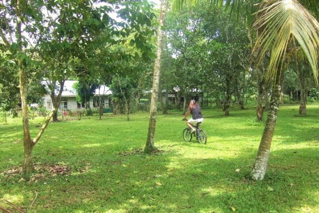 We surrounded by trees.