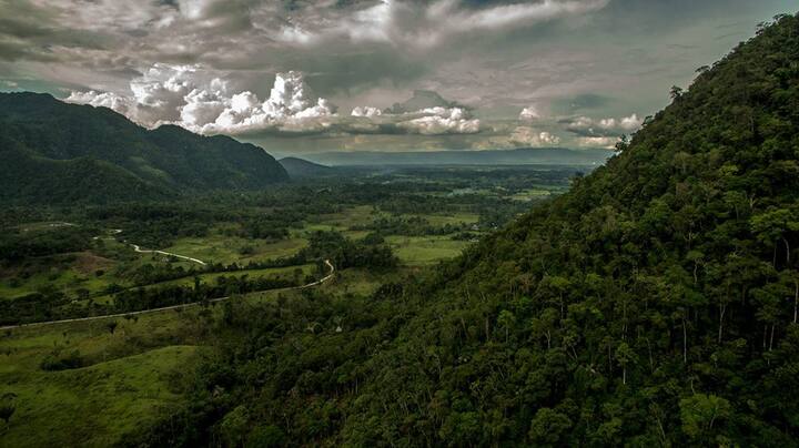 СЕМЕЕН ДОМ В САША РУНА -  ОПОЗНАЙТЕ АМАЗОНКА – изображение 1