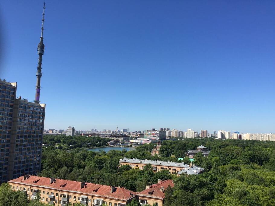 the view from the window