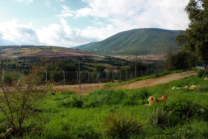 Robes- Meron View@Upper Galilee