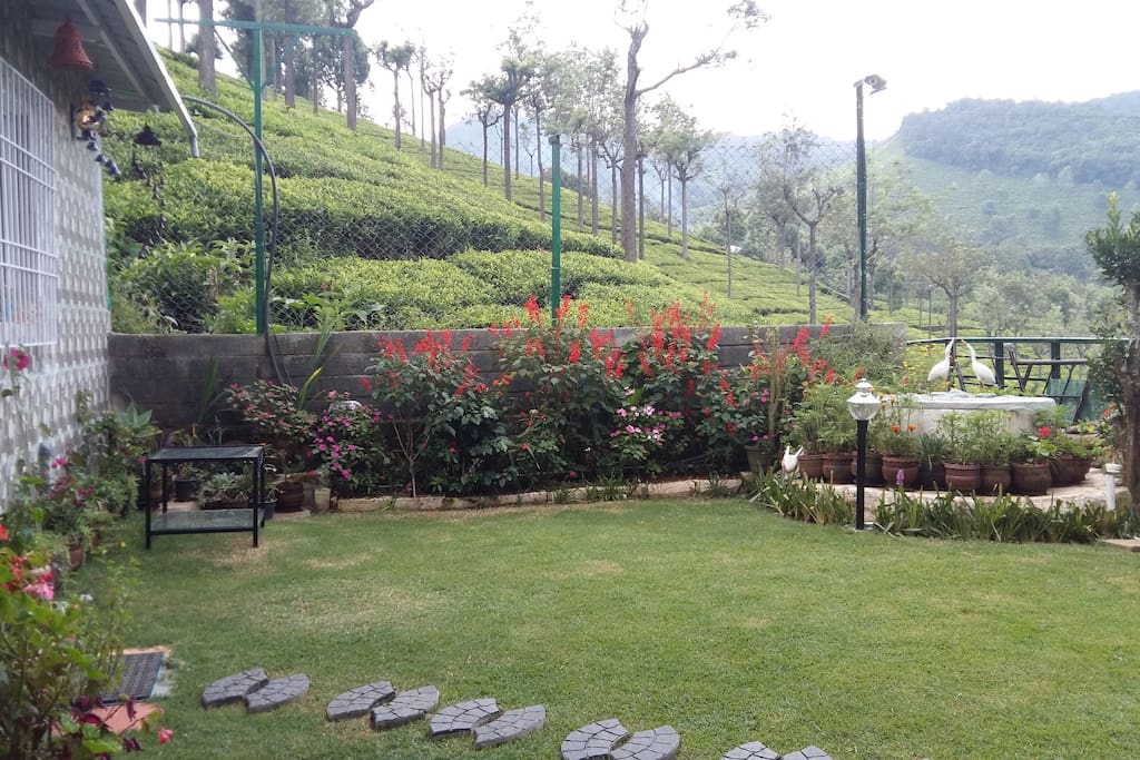 Lawn in front of the cottage