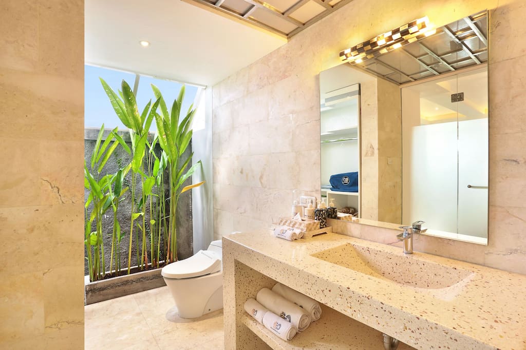 Bathroom with Wash Basin and Toilet