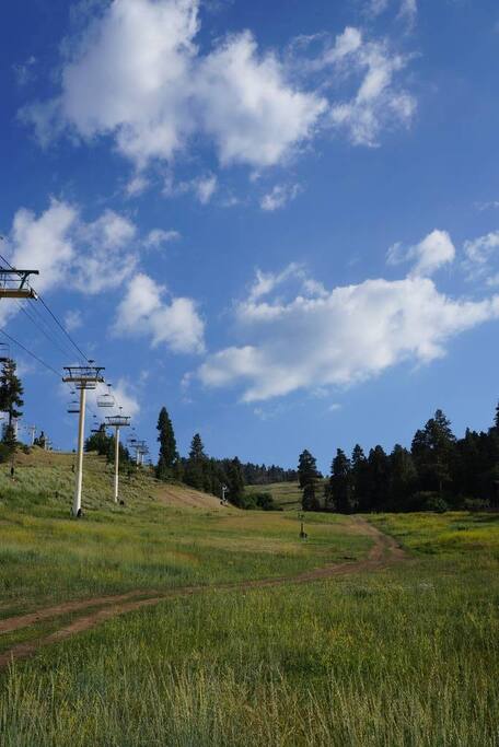 View during summer days.