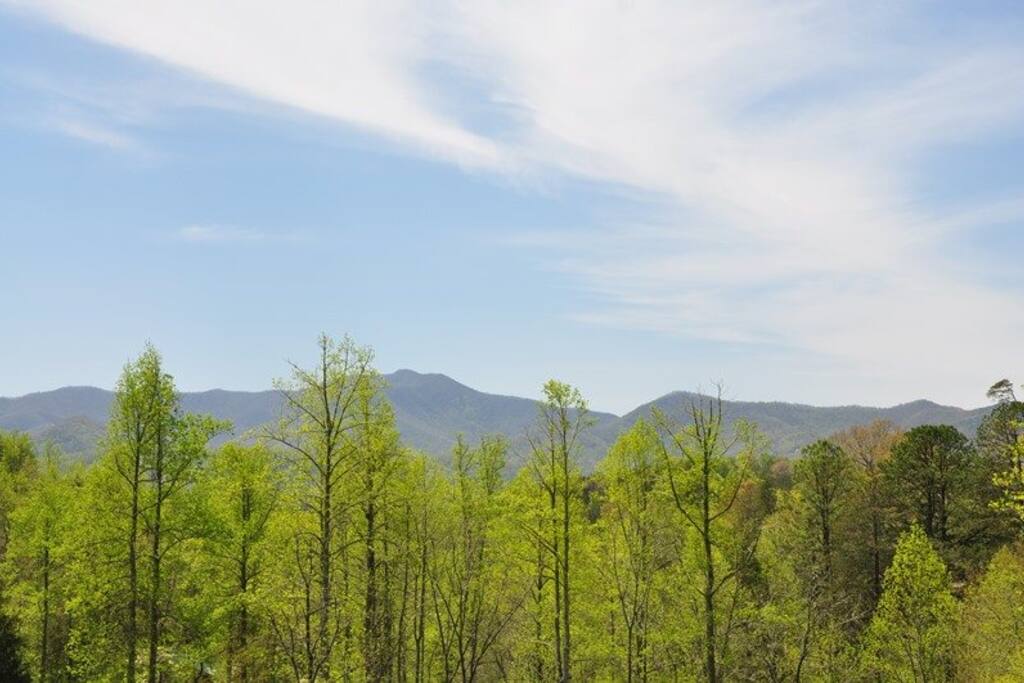 The Gorgeous Mountain View Before You