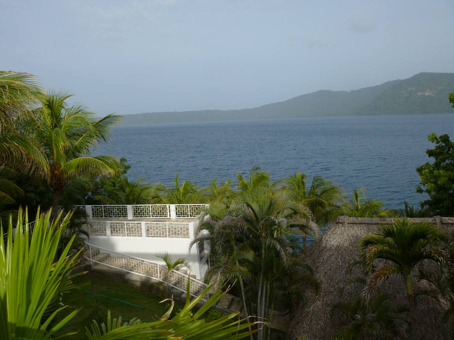 YOUR DAILY VIEW