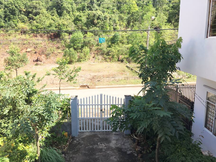 mountain view