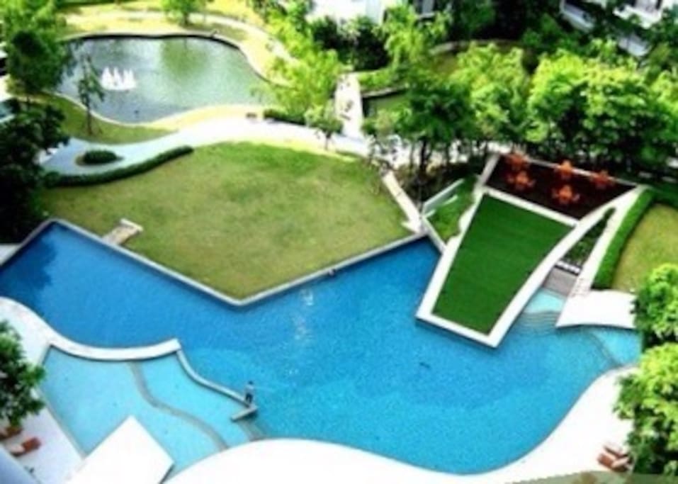 Natural and free form pool