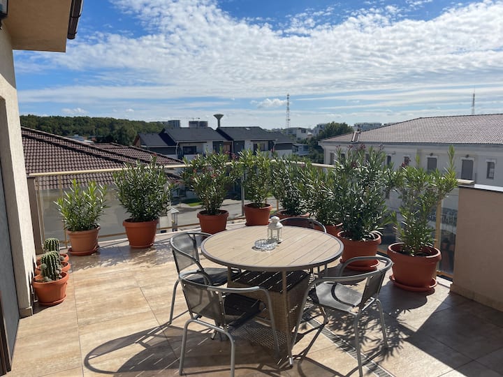 Veneția Penthouse Timisoara Apartments for Rent in Dumbrăvița