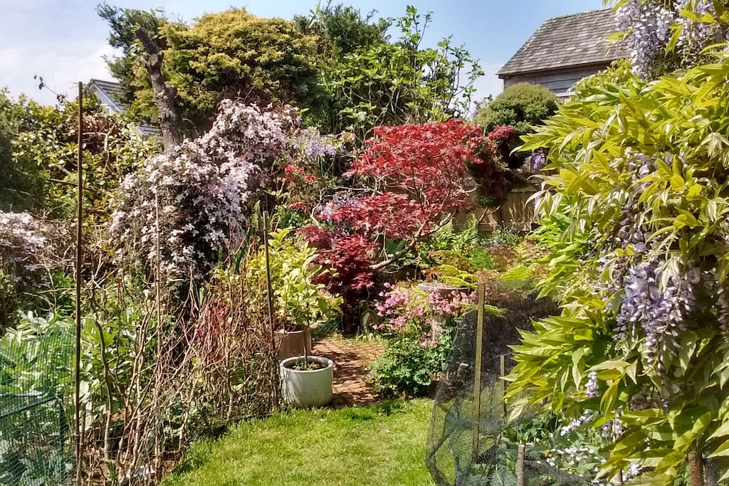 West garden with waterfall pond