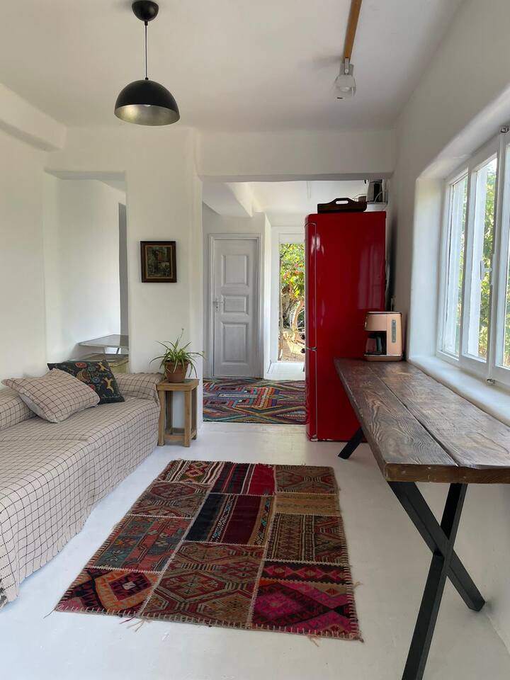 adalar kiralik tatil evleri ve evler turkiye airbnb