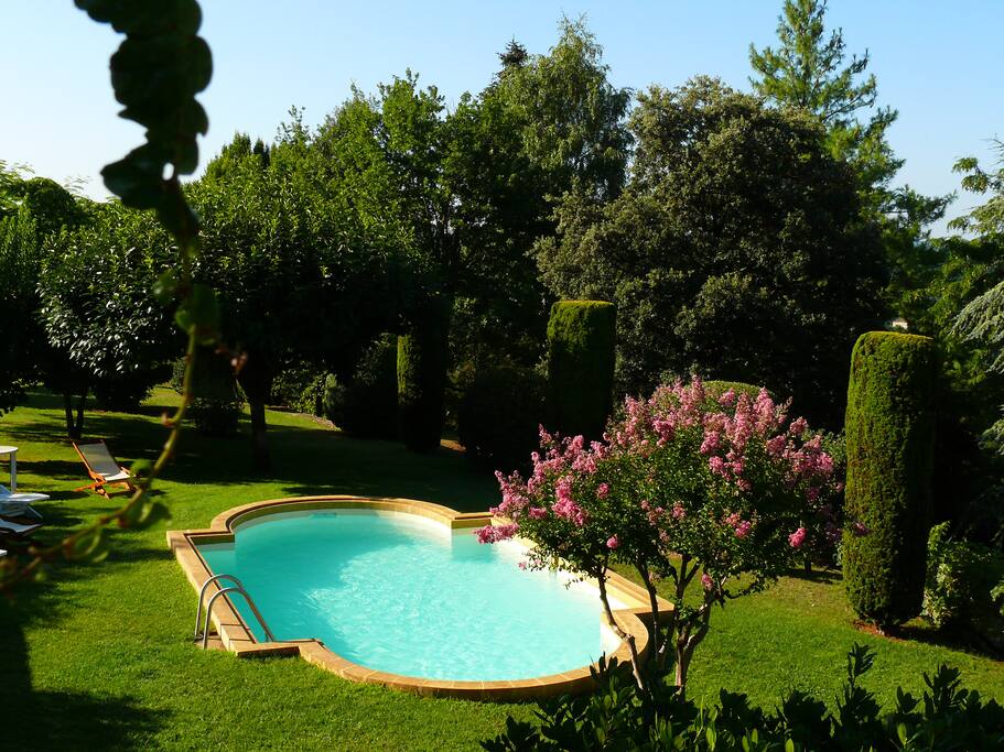 La superbe piscine privée nichée dans son écrin de verdure