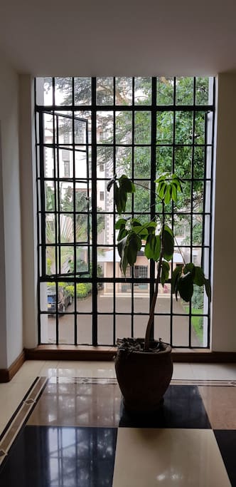 House plants & view from within