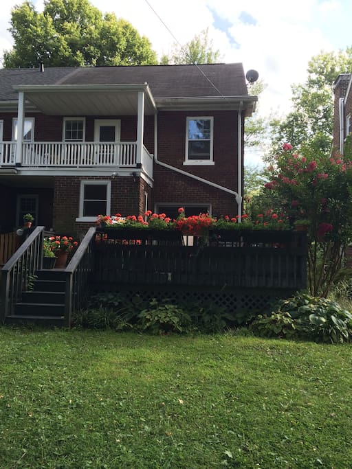 Back deck and yard