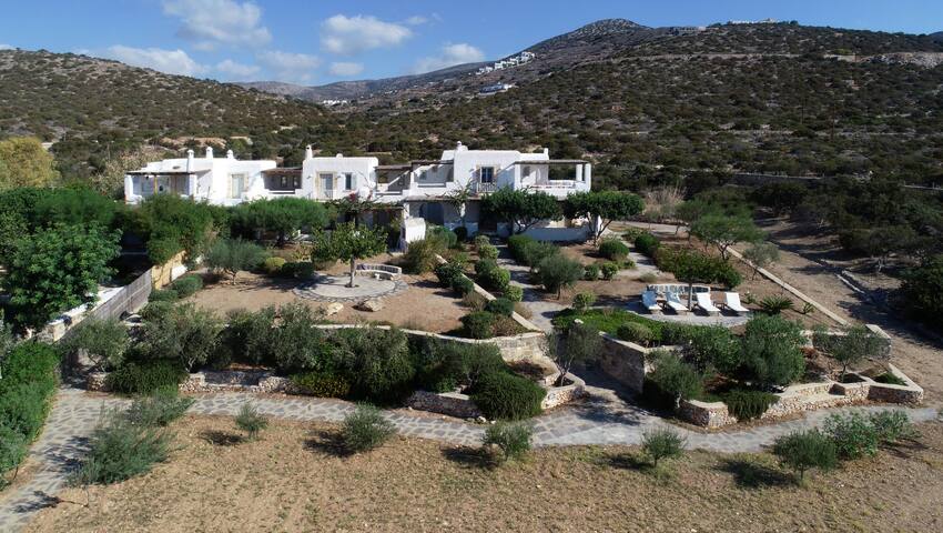 Luxury Beachfront Villa gallery image 2