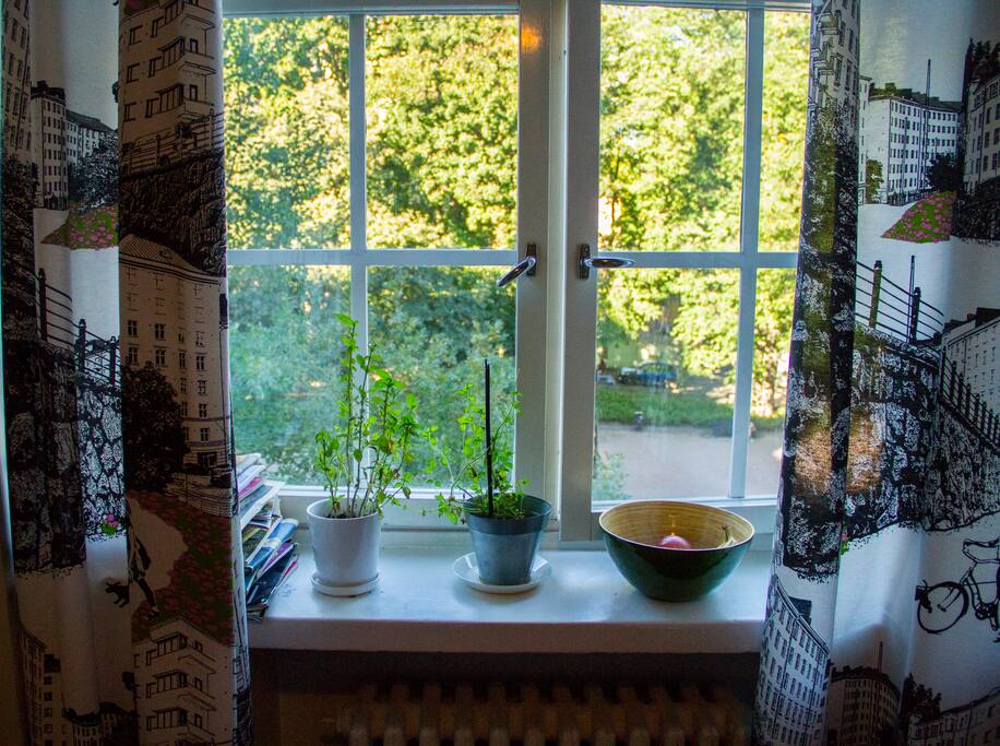 The view from the kitchen.