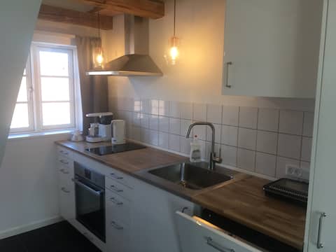 Top performing Airbnb: Hotel apartment in Lejre