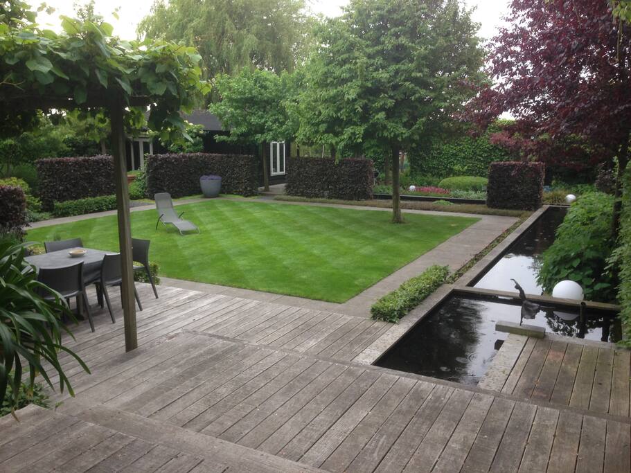 The garden