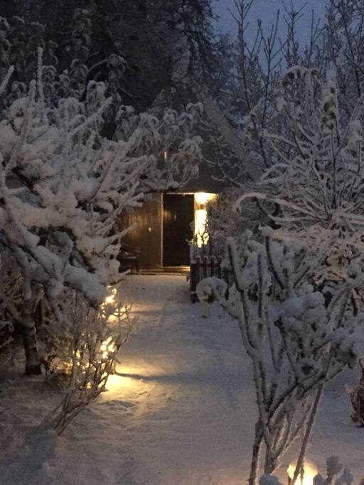 Winter wonderland!