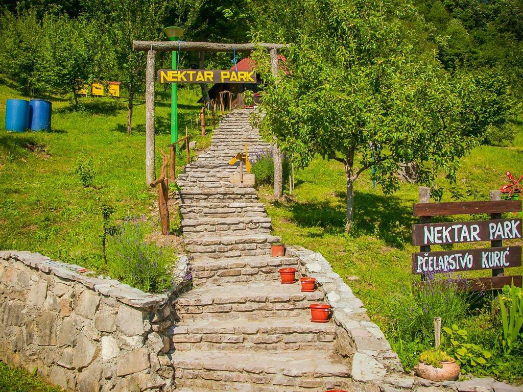 A winding stone pathway leads up to a welcoming entrance marked by a wooden sign displaying 'Nektar Park.' Lush greenery surrounds the path, with fruit trees on either side. Colorful pots are placed along the steps, enhancing the natural landscape.