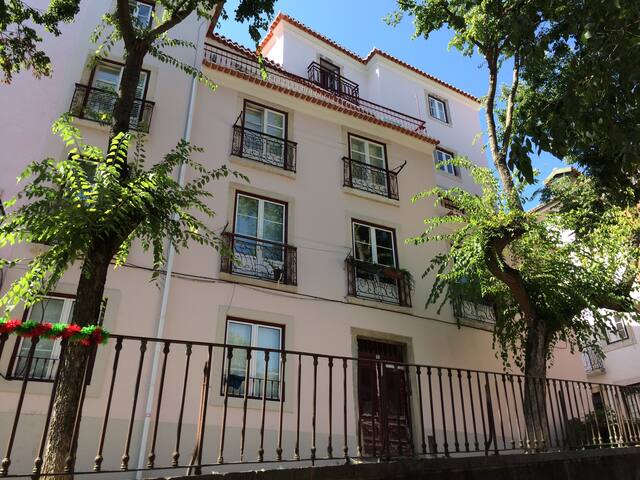 Alfama- Château -Terrasse -Vue gallery image 4